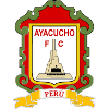 石家庄功夫